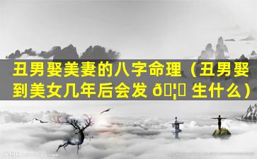 丑男娶美妻的八字命理（丑男娶到美女几年后会发 🦋 生什么）